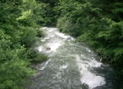 渓流、木曽川の支流です